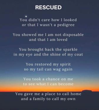 rescue